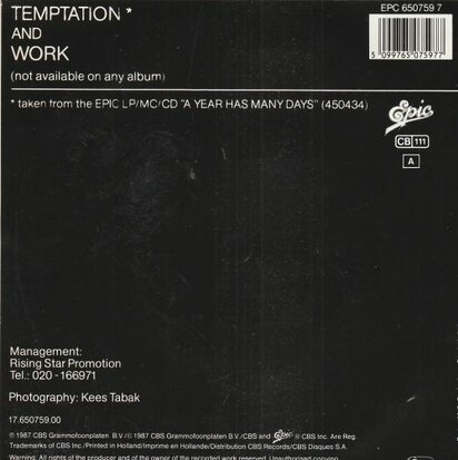 Richenel - Temptation + Work (Vinylsingle)