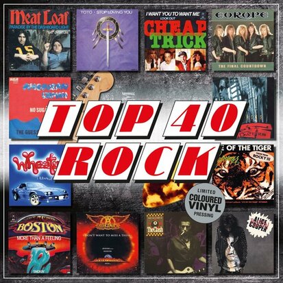 VARIOUS - TOP 40  -ROCK- (Vinyl LP)