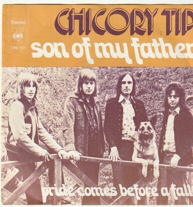 Chicory Tip - Son of my father + Pride comes before a fall (Vinylsingle)