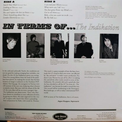 The Indikation - In Terms Of... (Vinyl LP)