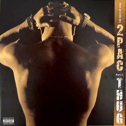 2PAC - BEST OF 2PAC (Vinyl LP)