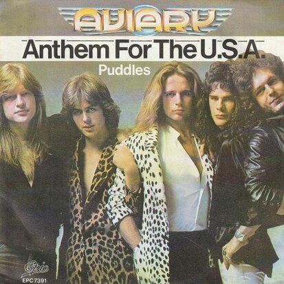 Aviary - Anthem For The U.S.A. + Puddles (Vinylsingle)