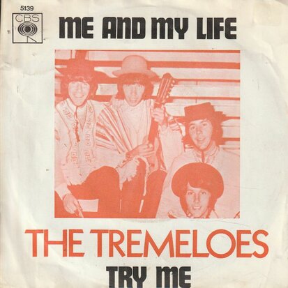 Tremeloes - Me and my life + Try me (Vinylsingle)