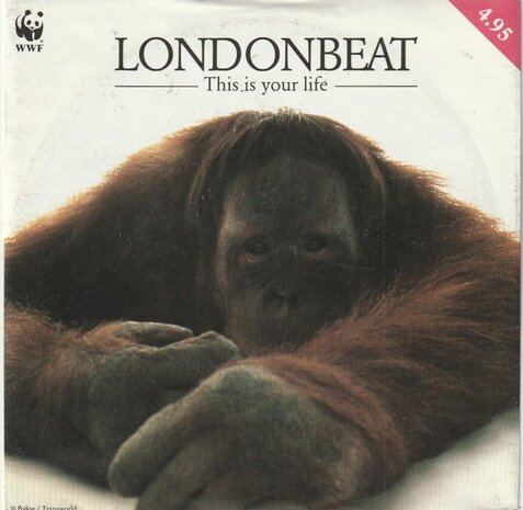 Londonbeat - This is your life + Falling in love again (Vinylsingle)