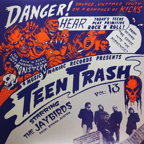 The Jaybirds - Teen Trash Vol. 13 (Vinyl LP)