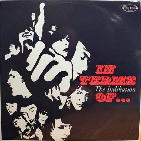 The Indikation - In Terms Of... (Vinyl LP)